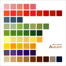 パーソナルカラーのオータム 秋 の色見本です パーソナルカラー診断のスウォッチや教材としてご利用ください 愛知県 パーソナルカラーのルシールカラー
